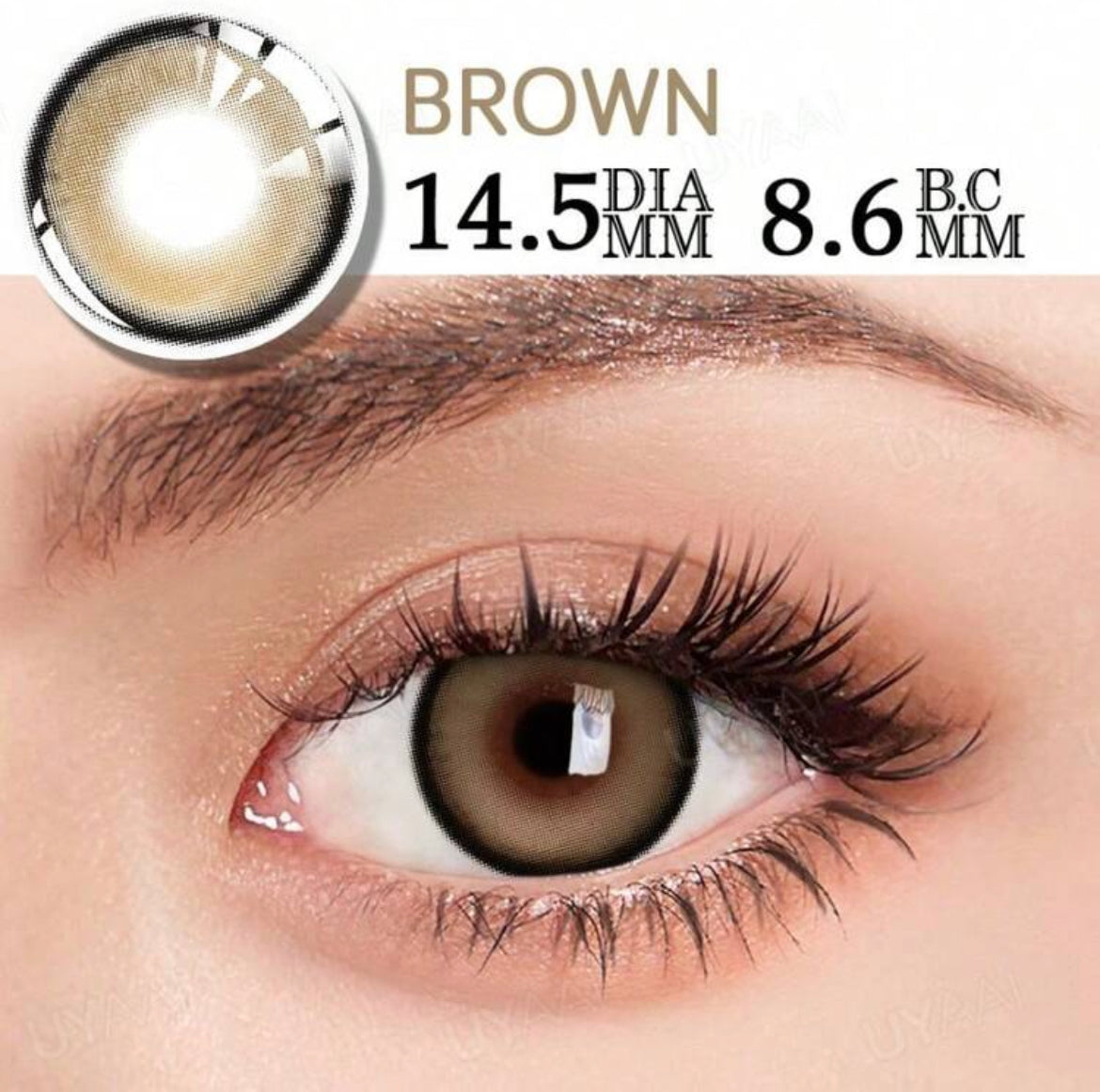 Bubble brown