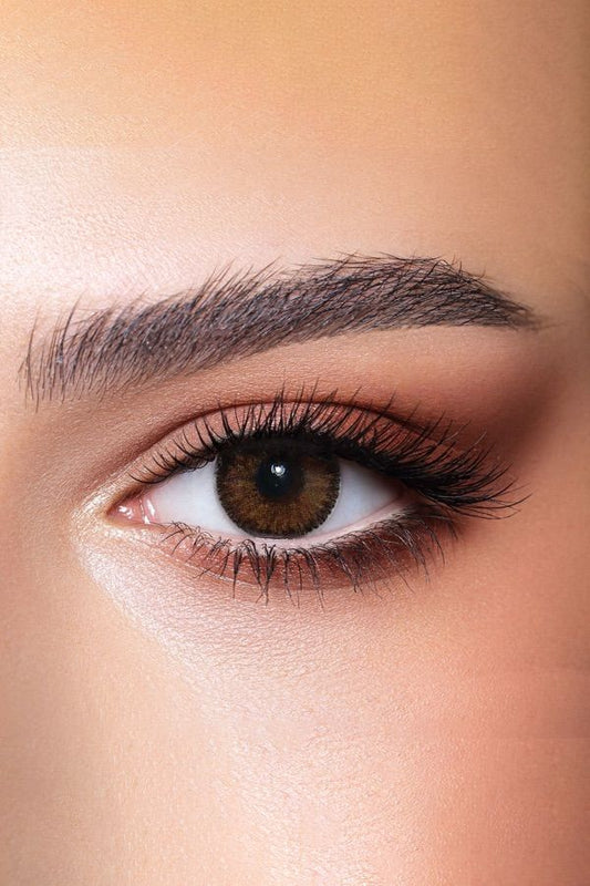 Contour Hazel